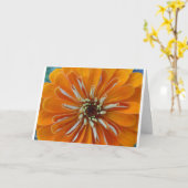Oranje zinnemacro kaart (Gele Bloem)