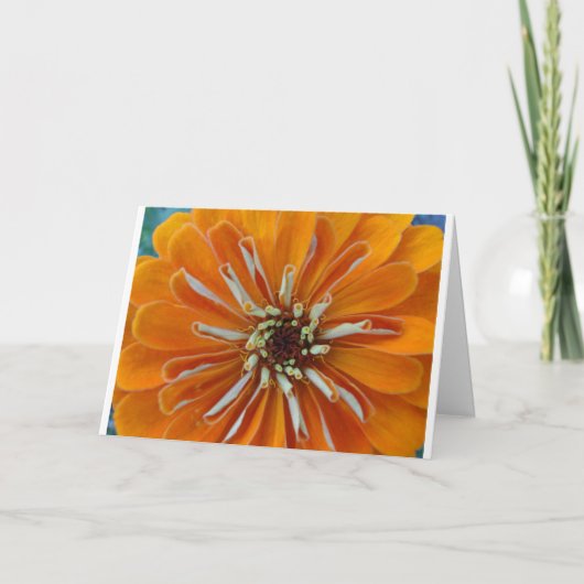 Oranje zinnemacro kaart (Voorkant)