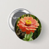 Oranje Zinnia Bloedbloem Button (Voorkant /achterkant)