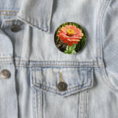 Oranje Zinnia Bloedbloem Button (In situ)
