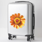 Oranje zinnia bloem close-up sticker (Koffer)