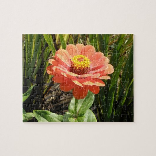 Oranje Zinnia Bloem Puzzel (Horizontaal)