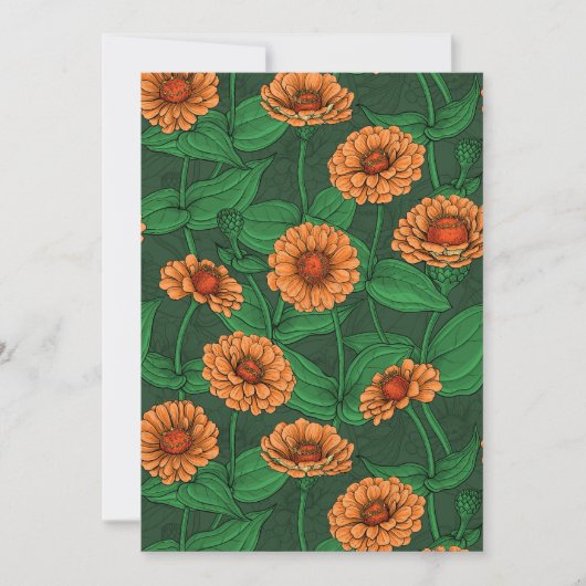 Oranje Zinnia bloemen, groene bladeren op donkergr (Voorkant)