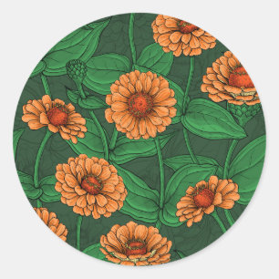 Oranje Zinnia bloemen, groene bladeren op donkergr Ronde Sticker