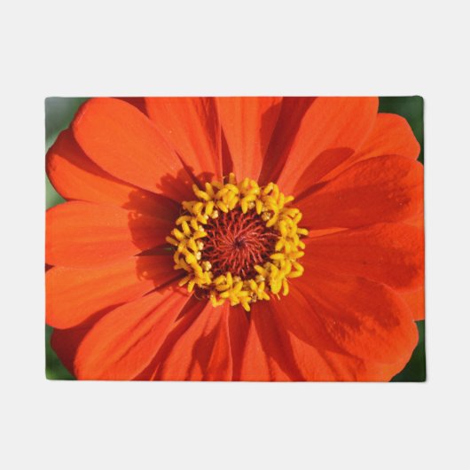 Oranje zinnia deurmat (Voorkant)