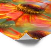 Oranje Zinnia Flower Abstract Poster (Hoek)