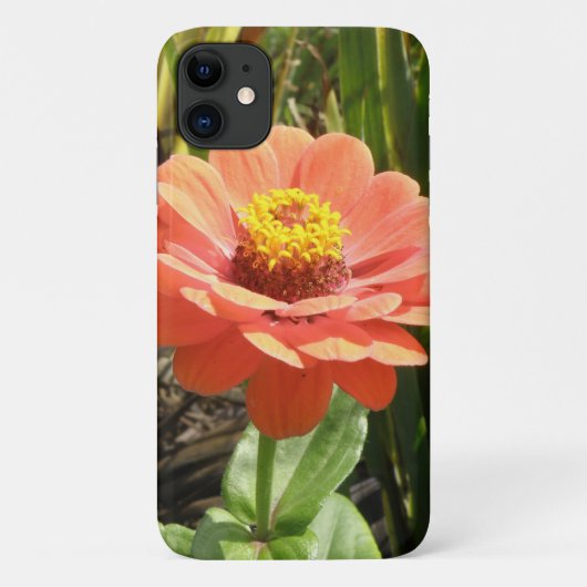 Oranje Zinnia Flower iPhone 3 Case (Achterkant)