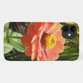 Oranje Zinnia Flower iPhone 3 Case (Achterkant (horizontaal))