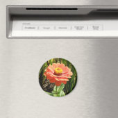 Oranje Zinnia Flower Magnet (Insitu (Vaatwasser))