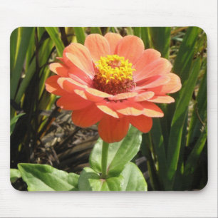 Oranje Zinnia Flower Mousepad Muismat