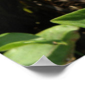 Oranje Zinnia Flower Print (Hoek)