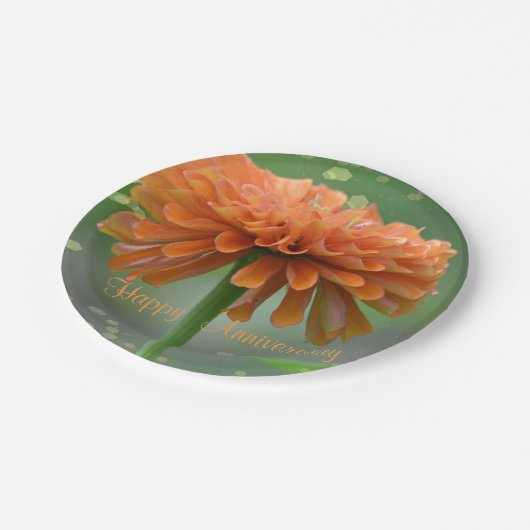 Oranje Zinnia Jubileum Bord (Gekanteld)