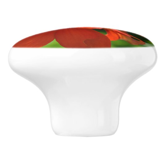 Oranje Zinnia Keramische Knop (Zijkant)