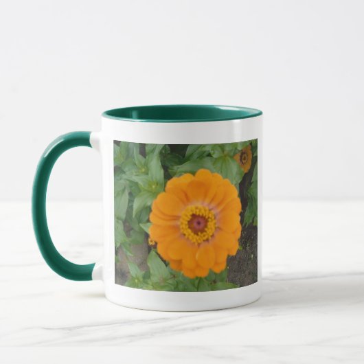 Oranje Zinnia Mok (Links)