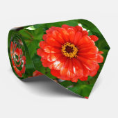 Oranje zinnia stropdas (Opgerold)