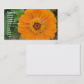 Oranje Zinnia Visitekaartje (Voorkant / Achterkant)