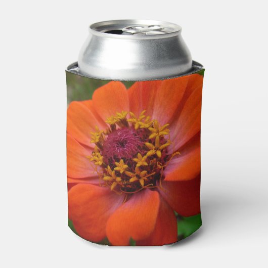 Oranje Zinnia Wilde Natuur Floral Blikjeskoeler (Blikje Voorkant)