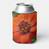 Oranje Zinnia Wilde Natuur Floral Blikjeskoeler (Blikje Achterkant)