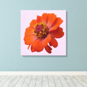 Oranje Zinnia Wilde Natuur Floral Canvas Afdruk (Insitu (Houten vloer))
