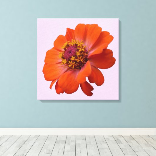 Oranje Zinnia Wilde Natuur Floral Canvas Afdruk (Insitu (Houten vloer))
