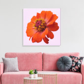 Oranje Zinnia Wilde Natuur Floral Canvas Afdruk (Insitu (Woonkamer))