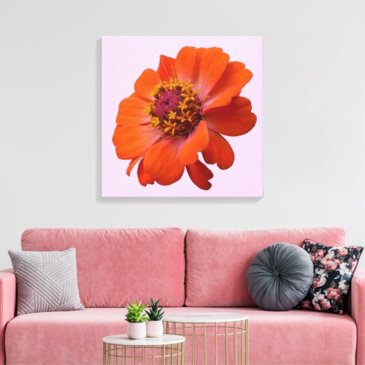 Oranje Zinnia Wilde Natuur Floral Canvas Afdruk (Insitu (Woonkamer))