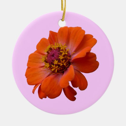 Oranje Zinnia Wilde Natuur Floral Keramisch Ornament (Voorkant)