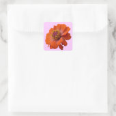 Oranje Zinnia Wilde Natuur Floral Vierkante Sticker (Tas)