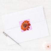 Oranje Zinnia Wilde Natuur Floral Vierkante Sticker (Envelop)