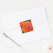 Oranje Zinnibloemen Vierkante Sticker (Envelop)
