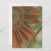 Oranje zonnebloem bloemblaadjes partij kaart (Achterkant)