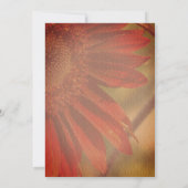 Oranje Zonnebloem Bloemen Huwelijk Save The Date (Achterkant)