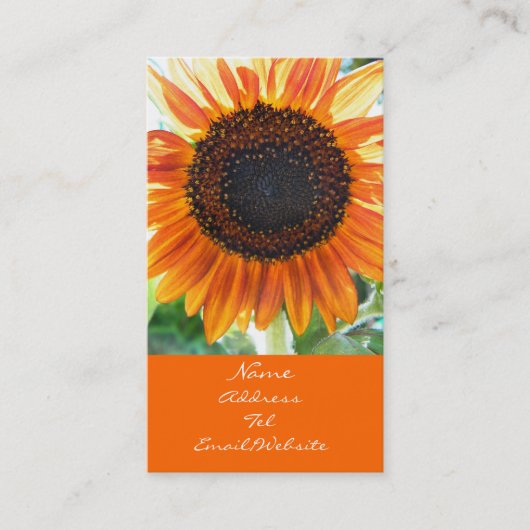 Oranje zonnebloem Bloom Visitekaartje (Voorkant)