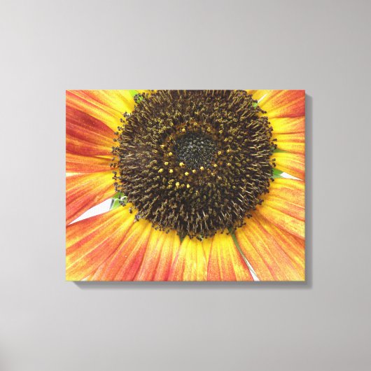 Oranje Zonnebloem Canvasprint Canvas Afdruk (Voorkant)