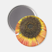 Oranje zonnebloem Magnet (Voorkant / Achterkant)