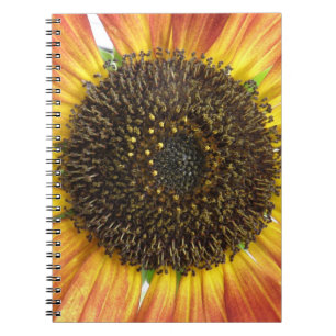 Oranje Zonnebloem Notitieboek