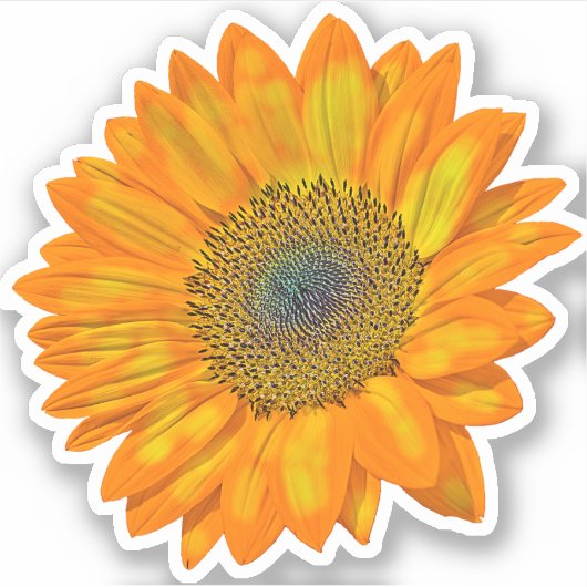 Oranje zonnebloem sticker (Voorkant)