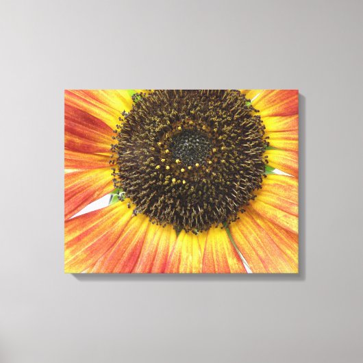 Oranje zonnebloemcanvas afdrukken (Voorkant)