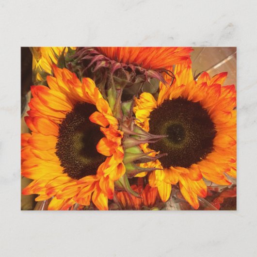 Oranje zonnebloemen briefkaart (Voorkant)
