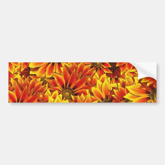 Oranje zonnebloemen bumpersticker (Voorkant)