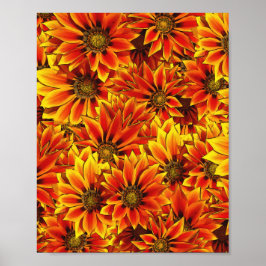 Oranje zonnebloemen poster
