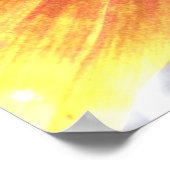 Oranje zonnebloempitten poster (Hoek)