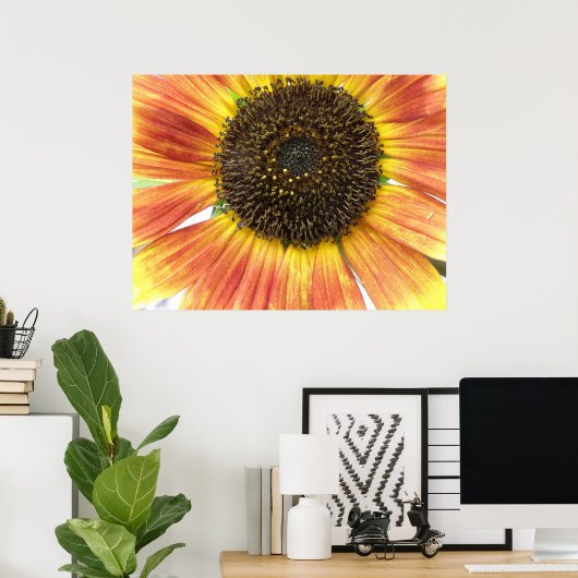 Oranje zonnebloempitten poster (Thuiskantoor)