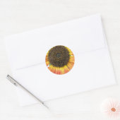 Oranje zonnebloempitten ronde sticker (Envelop)
