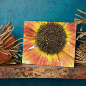 Oranje zonnebloemplak fotoplaat (Zijkant)