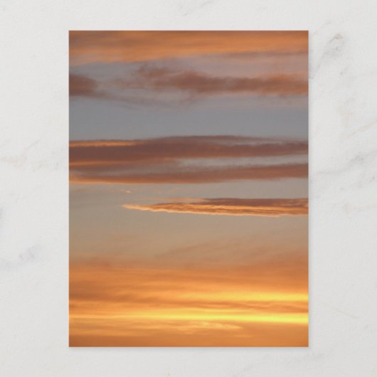 Oranje ZonneBriefkaart Briefkaart (Voorkant)
