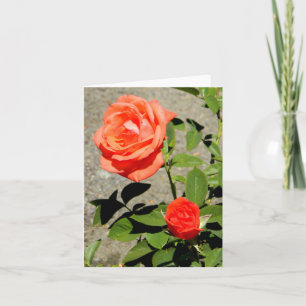 Oranje zonneschijn.... kaart