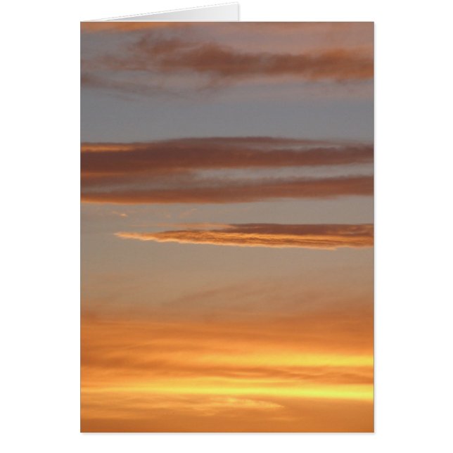 Oranje Zonnesetkaart (Voorkant)