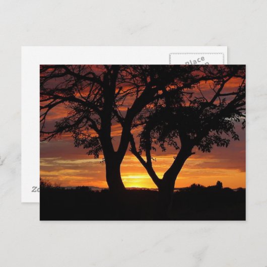 Oranje zonsondergang briefkaart (Voorkant / Achterkant)