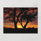 Oranje zonsondergang briefkaart (Voorkant)